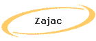 Zajac